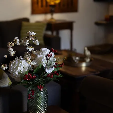 Apanemia House * Lófou