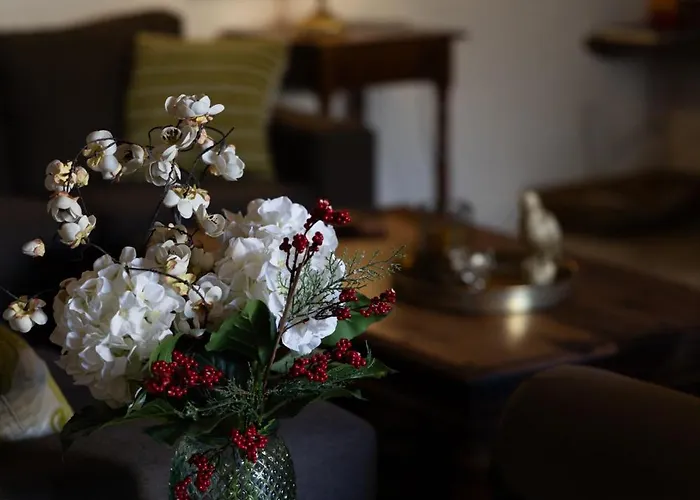 Apanemia House * Lofou