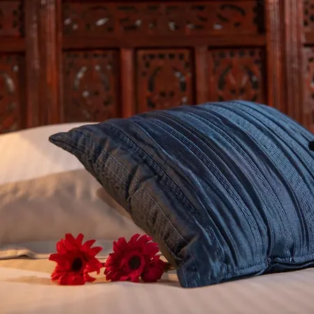 Apanemia House * Lófu